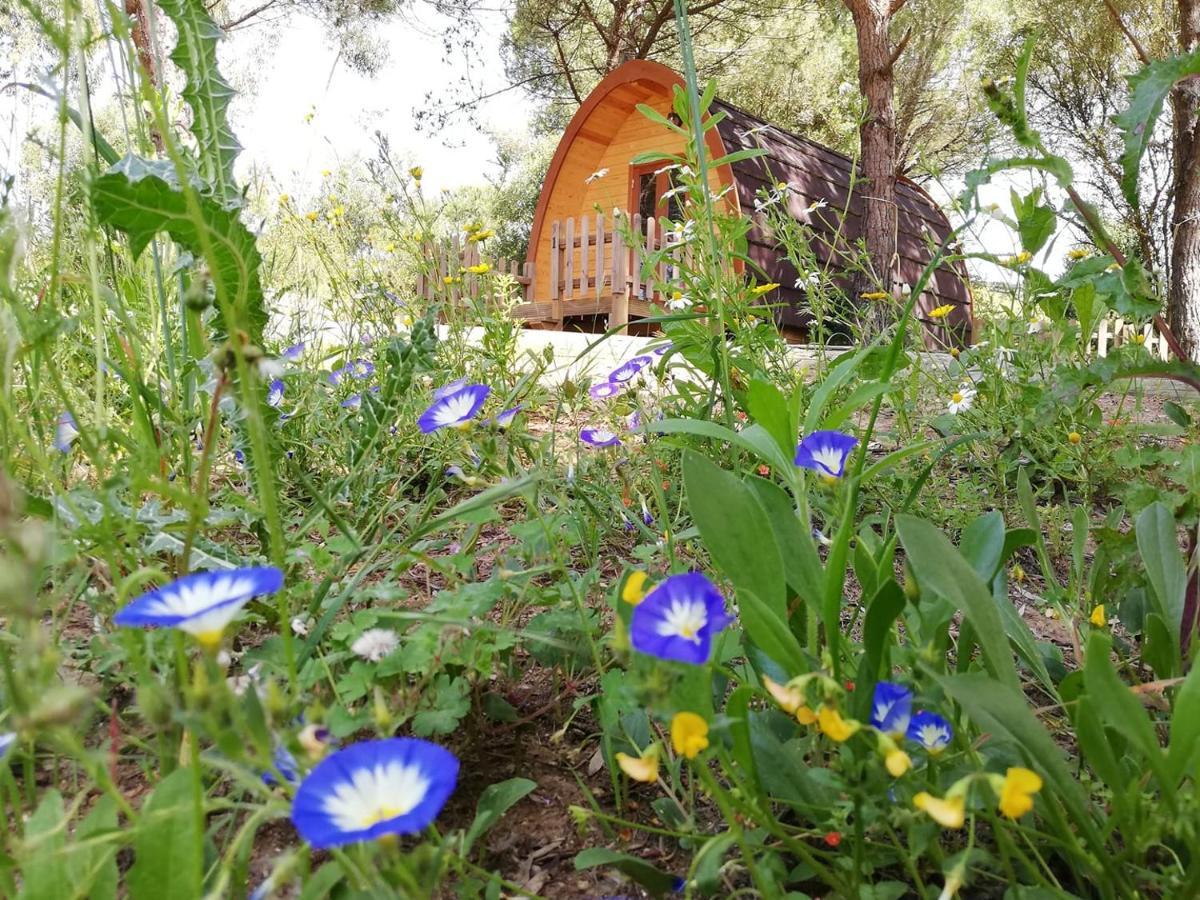 Glamping Sintra Hotel Luaran gambar